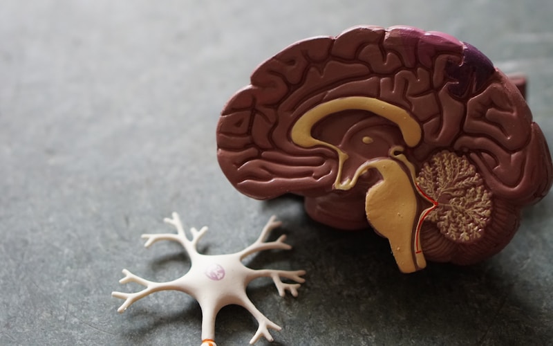 Dizziness and Your Neck: How Neck Problems Cause Vertigo and Imbalance